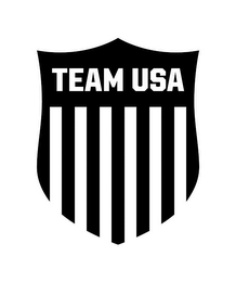TEAM USA logo