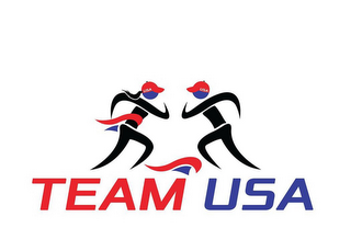 TEAM USA logo