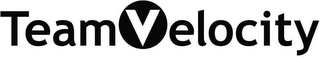 TEAM VELOCITY logo