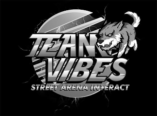 TEAM VIBES STREET ARENA INTERACT logo