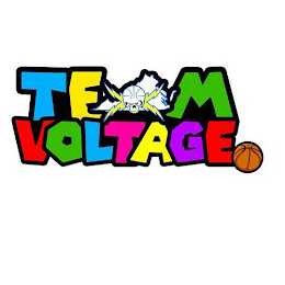 TEAM VOLTAGE logo