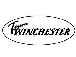 TEAM WINCHESTER logo