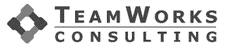 TEAM WORKS CONSULTING logo
