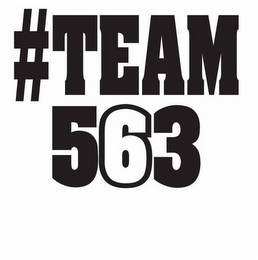#TEAM563 logo