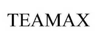 TEAMAX logo
