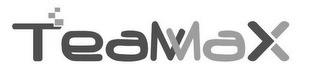 TEAMAX logo