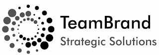 TEAMBRAND STRATEGIC SOLUTIONS logo