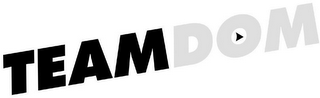 TEAMDOM logo