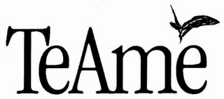 TEAME' logo