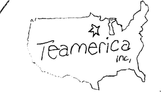 TEAMERICA INC. logo