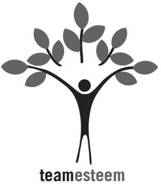 TEAMESTEEM logo