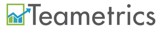 TEAMETRICS logo