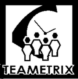 TEAMETRIX logo