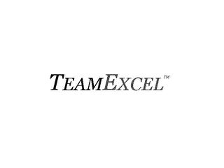 TEAMEXCEL logo