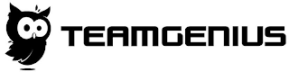 TEAMGENIUS logo