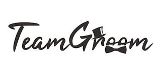 TEAMGROOM logo