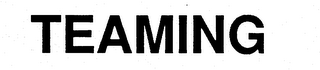 TEAMING logo