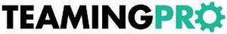 TEAMINGPRO logo