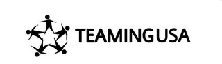 TEAMINGUSA logo