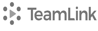 TEAMLINK logo