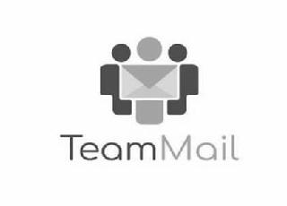 TEAMMAIL logo