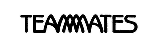 TEAMMATES logo