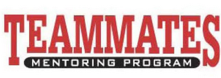 TEAMMATES MENTORING PROGRAM logo