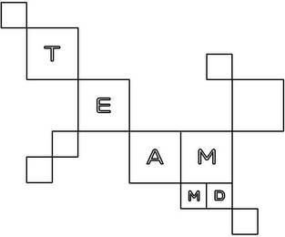 TEAMMD logo