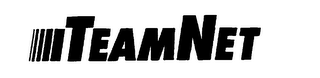 TEAMNET logo