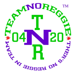 TEAMNOREGGIE THER'S NO REGGIE IN TEAM T N R 04 20 logo