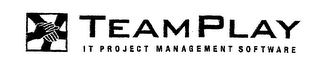 TEAMPLAY IT PROJECT MANAGEMENT SOFTWARE logo
