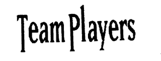 TEAMPLAYERS logo
