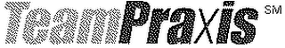 TEAMPRAXIS logo