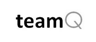 TEAMQ logo