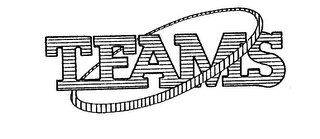 TEAMS logo
