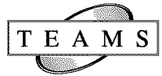 TEAMS logo
