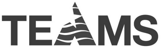 TEAMS logo