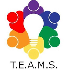 T.E.A.M.S logo