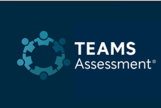 TEAMS ASSESSMENT