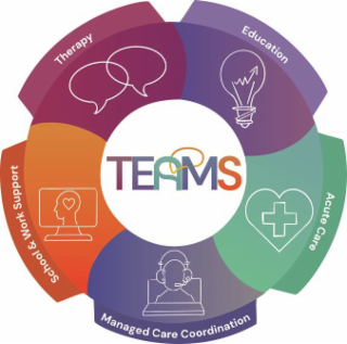 TEAMS THERAPY EDUCATION ACUTE CARE MANAGED CARE COORDINATION SCHOOL & WORK SUPPORT logo