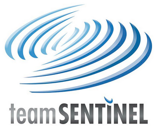 TEAMSENTINEL logo