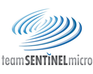 TEAMSENTINELMICRO logo