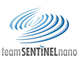 TEAMSENTINELNANO logo