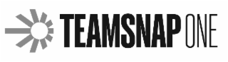 TEAMSNAP ONE logo
