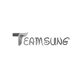 TEAMSUNG logo