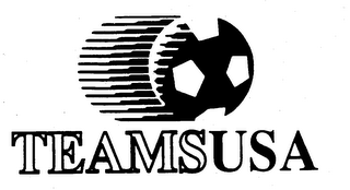 TEAMSUSA logo
