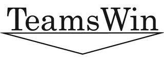 TEAMSWIN logo