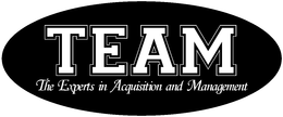 TEAM/THE EXPERTS IN ACQUISITION AND MANAGEMENT logo