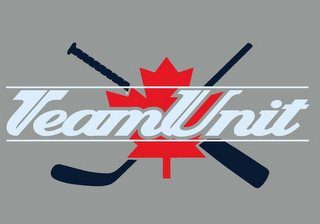 TEAMUNIT logo