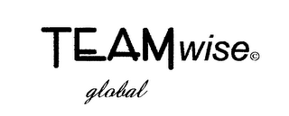 TEAMWISE GLOBAL logo